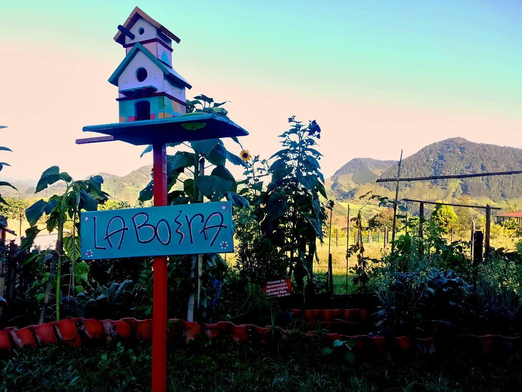 Bed and Breakfast Coliving La Boira Jardín Zewnętrze zdjęcie
