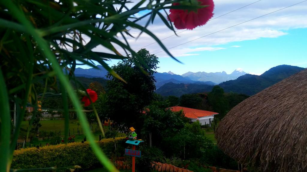 Bed and Breakfast Coliving La Boira Jardín Zewnętrze zdjęcie