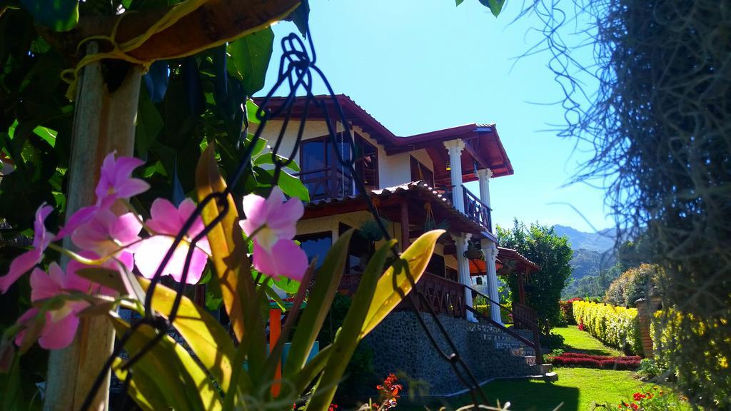 Bed and Breakfast Coliving La Boira Jardín Zewnętrze zdjęcie