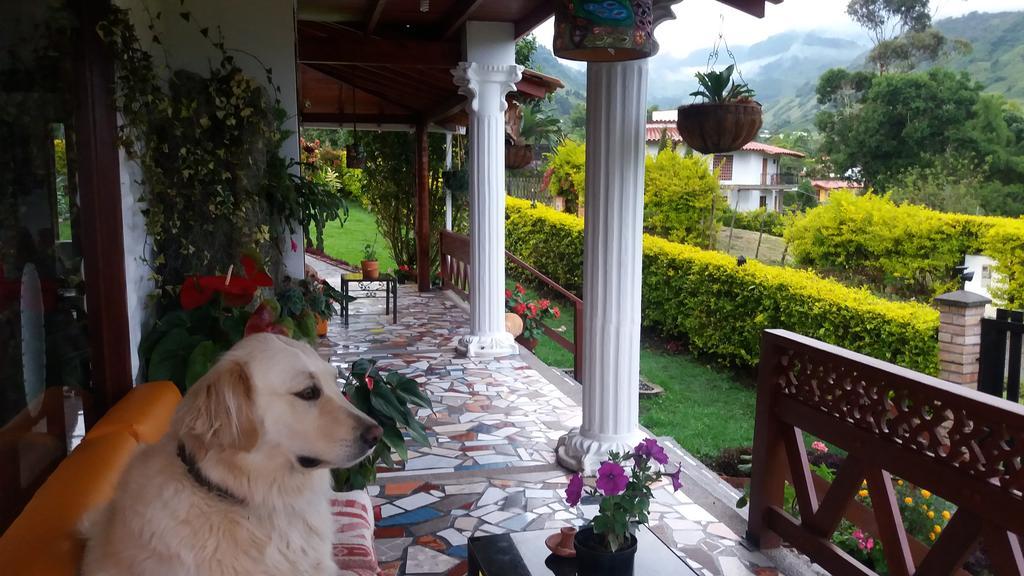 Bed and Breakfast Coliving La Boira Jardín Zewnętrze zdjęcie