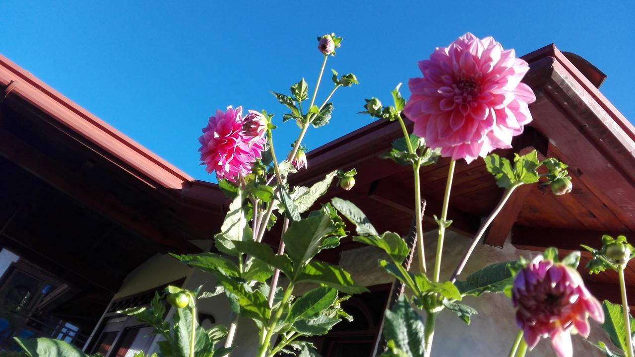 Bed and Breakfast Coliving La Boira Jardín Zewnętrze zdjęcie